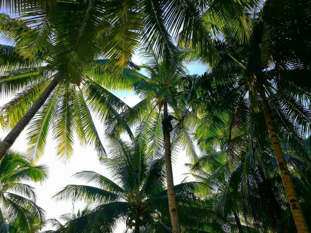 Siargao Residency Appartement Union  Buitenkant foto